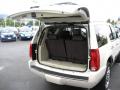 2009 Escalade Platinum #7