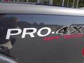 2010 Frontier Pro-4X Crew Cab 4x4 #9 2010 Frontier Pro-4X Crew Cab 4x4 #9