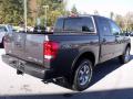 2010 Titan PRO-4X Crew Cab 4x4 #5 2010 Titan PRO-4X Crew Cab 4x4 #5