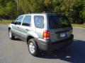 2007 Escape XLS #7