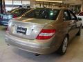 2010 C 300 Luxury 4Matic #6