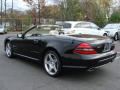 2009 SL 550 Roadster #6