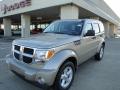 2010 Nitro SE #1