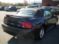 2001 Mustang V6 Convertible #9