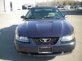 2001 Mustang V6 Convertible #12
