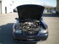 2001 Mustang V6 Convertible #13