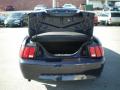 2001 Mustang V6 Convertible #16