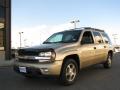 2006 TrailBlazer EXT LS 4x4 #2