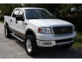 2004 F150 Lariat SuperCrew 4x4 #19