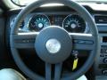 2010 Mustang GT Coupe #16
