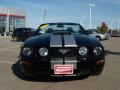 2006 Mustang Shelby GT Convertible #8