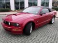 2008 Mustang GT Premium Convertible #23