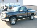 2004 Silverado 1500 LS Regular Cab 4x4 #9