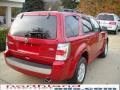 2010 Mariner V6 4WD #2