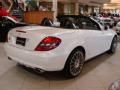 2010 SLK 300 Diamond White Edition Roadster #6
