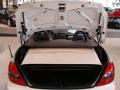 2010 SLK 300 Diamond White Edition Roadster #14