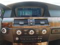 2008 5 Series 528i Sedan #19