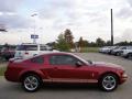 2006 Mustang V6 Premium Coupe #6