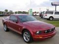 2006 Mustang V6 Premium Coupe #7