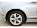 2007 Mustang GT Premium Coupe #21 2007 Mustang GT Premium Coupe #21