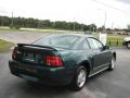 2000 Mustang V6 Coupe #3