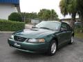 2000 Mustang V6 Coupe #7