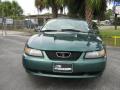2000 Mustang V6 Coupe #8