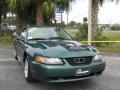 2000 Mustang V6 Coupe #9