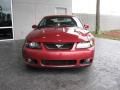 2003 Mustang Cobra Convertible #4