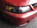 2003 Mustang Cobra Convertible #6