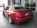 2003 Mustang Cobra Convertible #8