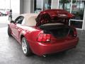 2003 Mustang Cobra Convertible #10