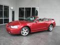 2003 Mustang Cobra Convertible #13