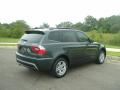 2006 X3 3.0i #2