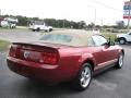 2007 Mustang V6 Premium Convertible #4
