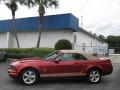 2007 Mustang V6 Premium Convertible #7