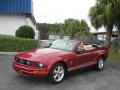 2007 Mustang V6 Premium Convertible #14