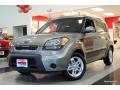 2010 Soul + #2
