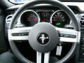 2007 Mustang V6 Premium Coupe #15