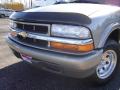 2002 Blazer LS #9
