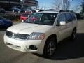2010 Endeavor SE AWD #1 2010 Endeavor SE AWD #1