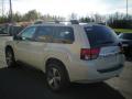 2010 Endeavor SE AWD #9 2010 Endeavor SE AWD #9