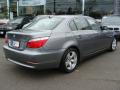 2008 5 Series 528i Sedan #8