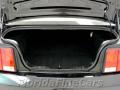 2008 Mustang V6 Deluxe Coupe #10