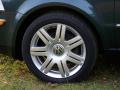 2005 Passat GLX Sedan #9