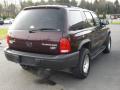 2003 Durango SXT 4x4 #4