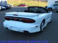 2001 Firebird Convertible #7