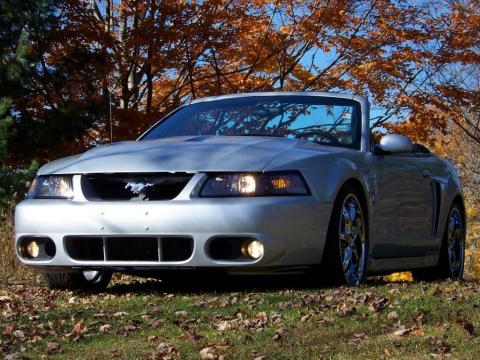 Silver Metallic Ford Mustang Cobra Convertible.  Click to enlarge.
