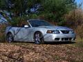 2003 Mustang Cobra Convertible #3