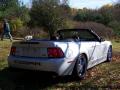 2003 Mustang Cobra Convertible #5